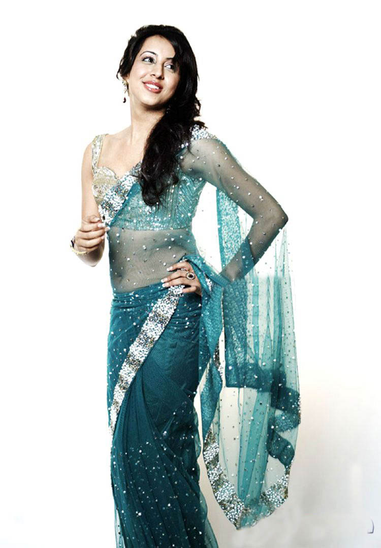 saree photoshoot pics saree photoshoot pics